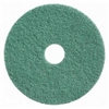 Afbeelding van Diamant pad 10 inch 255mm groen grit 3000 (9525544.000000.!UN)