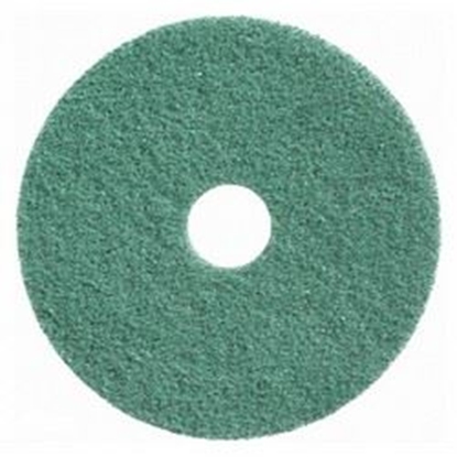 Afbeeldingen van Diamant pad 10 inch 255mm groen grit 3000 (9525544.000000.!UN)