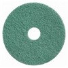 Afbeelding van Diamant pad 10 inch 255mm groen grit 3000 (9525544.000000.!UN)