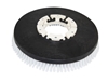 Afbeelding van Schrobborstel PPN 070 GLW Taski (250181.220000.TAS)