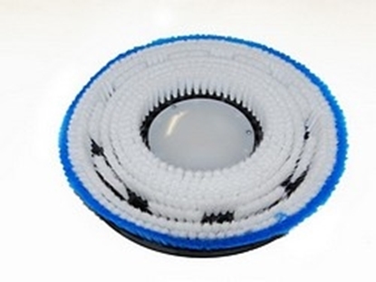 Afbeeldingen van Schrobborstel PPN 030 GL Taski (250108.213000.TAS)