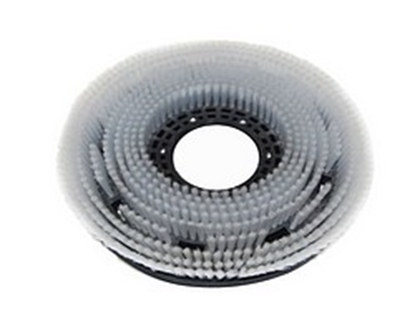 Afbeeldingen van Schrobborstel PPN 075 GL Taski (250108.220000.TAS)