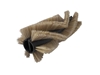 Afbeelding van Borstelwals PES (5 K- Borste) Taski (170250.101000.TAS)