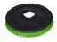 Afbeeldingen van Schrobborstel Poly 1,0 mm Wit Numatic hard (TBU00926)