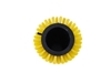 Afbeelding van Borstelwals PPN 0,12 mm gl geel Duplex (170969.305000.DUP)