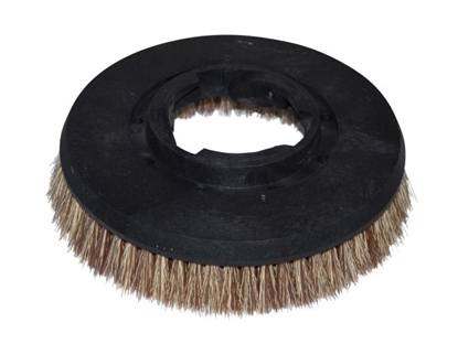 Afbeeldingen van Schrobborstel 5k-mix 280mm TTB 455 Numatic (252225.101000.NUM)