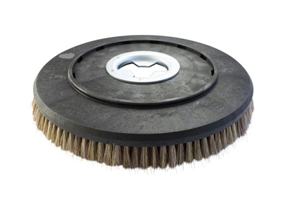 Afbeeldingen van Schrobborstel PPS 0,3 gl-ge Wetrok (250046.101000.WET)