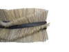 Afbeelding van Borstelwals 5K-Borste (KW01322)