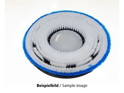 Afbeeldingen van Schamponeerborstel Poly 0,3 glad blauw (TBU02957)