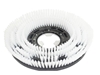 Afbeelding van Schrobborstel PPN 040 GLW / MYP 090 GL-S Comac (250664.200360.COM)