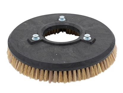 Afbeeldingen van Schrobborstel PPS 0,3 gl-ge/5 K-Borstel Comac (250061.101000.COM)